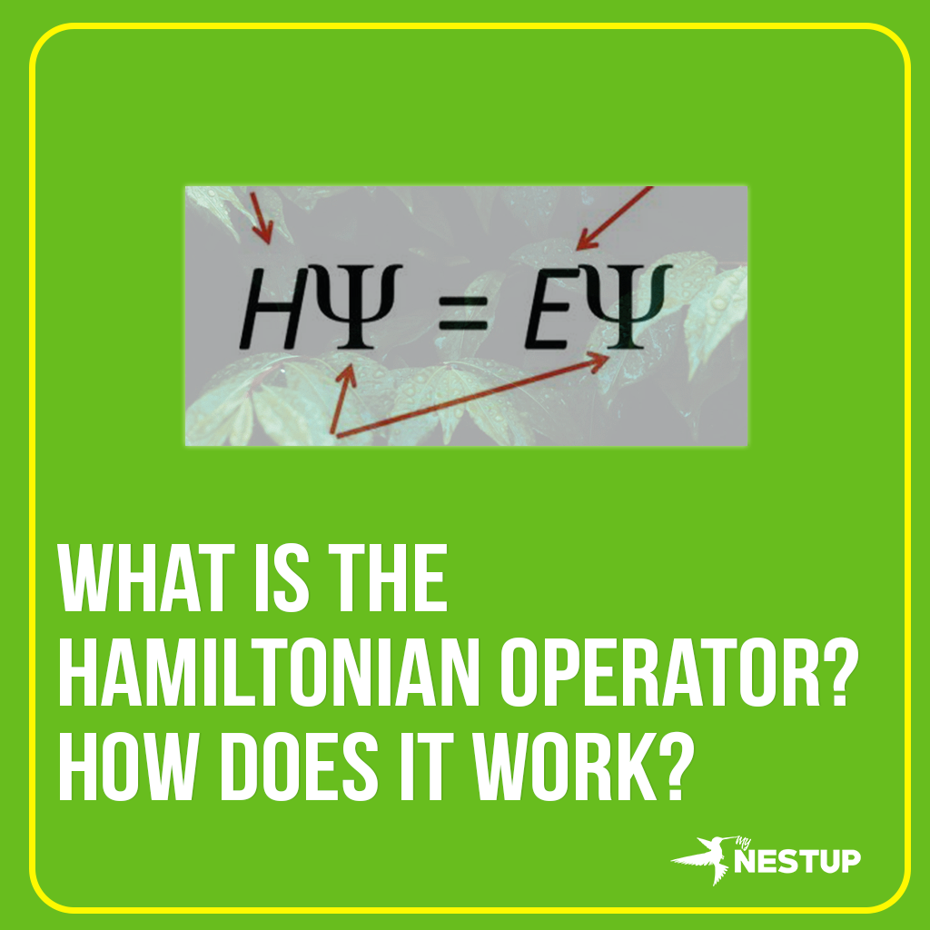 What-is-the-Hamiltonian-operator-How-does-it-work-mynestupdotcom