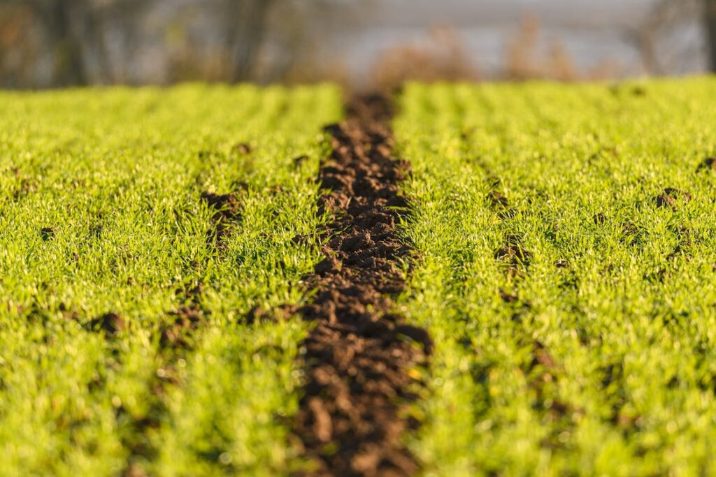 Greening the Fields: The CRAZIEST Sustainability Trends in Agriculture