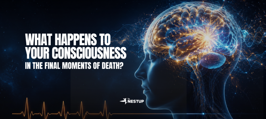 What Happens to Your Consciousness in the Final Moments of Death?